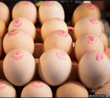 Jaja owsiane zdrowe, zatwierdzone przez Urząd Patentowy