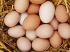 jaja wiejskie 100% BIO (ekologiczne) darmowa dostawa!