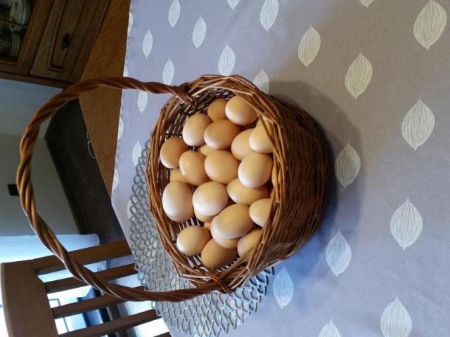 Wiejskie jaja